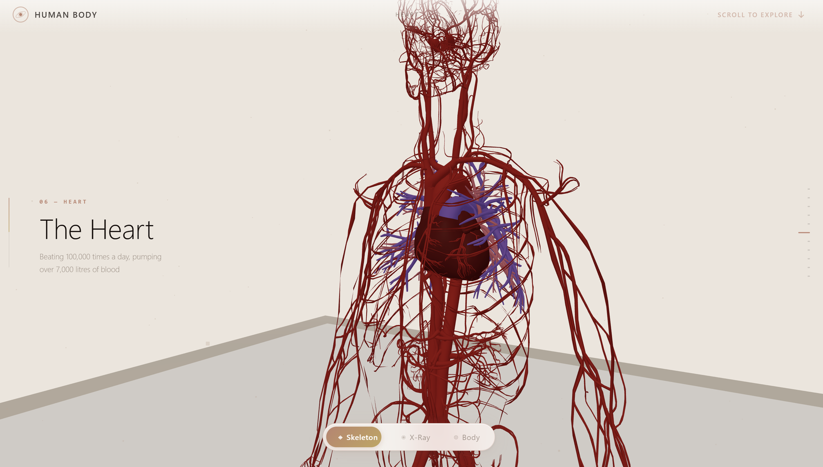 Human Body 3D, Interactive · Data Visualisation