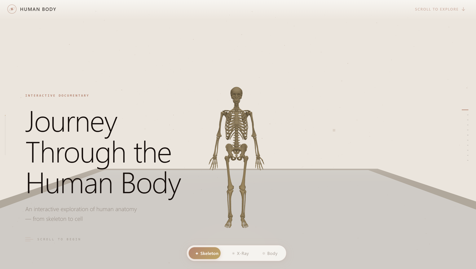 Journey Through the Human Body, the opening skeleton view